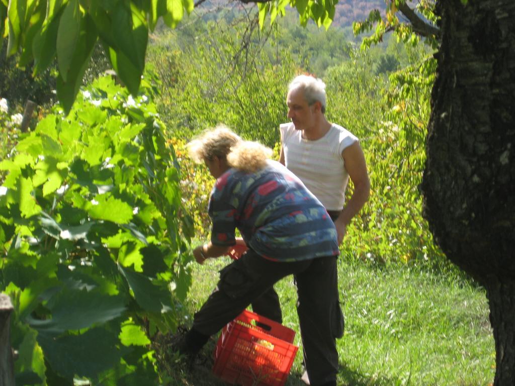 Giardino Di Potentino Седжано Экстерьер фото